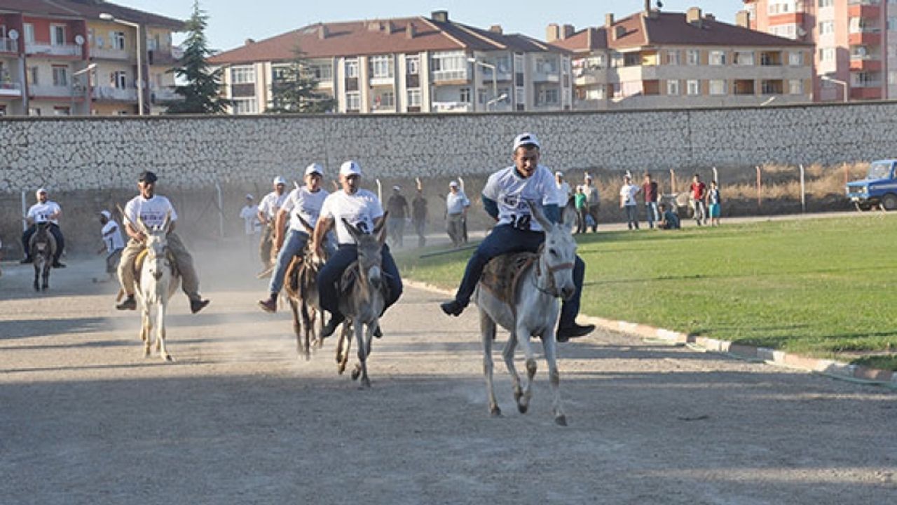 Eşeğe binme ve en güzel gözlü eşek yarışları yapıldı