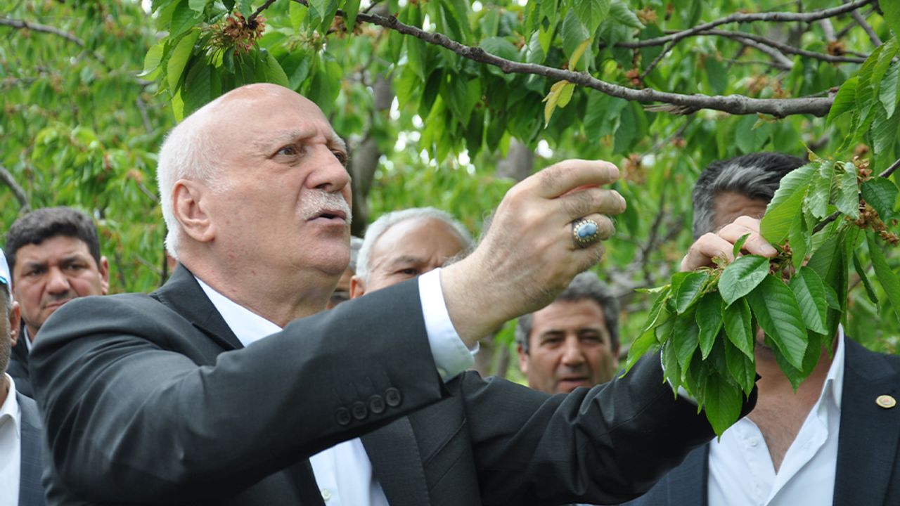 TZOB Genel Başkanı Şemsi Bayraktar, Akşehir'de Zirai Don Zararını İnceledi