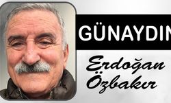 Çok Acele Bir Eşek Aranıyor