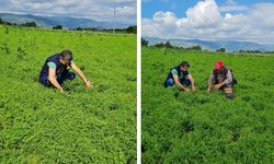 İLÇE TARIM’DAN ARAZİ KONTROLÜ