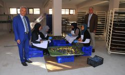 KURUTULAN ÜRÜN ÇEŞİTLİLİĞİ ARTIYOR