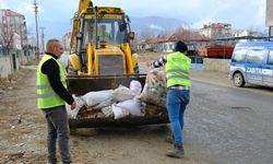 KÜL ALIMLARI BAŞLADI