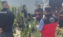 Fide ve Fidan Satış Yerlerine Sıkı Denetim