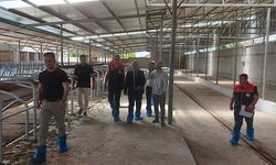 Süt İşletmesine "Ari İşletme Sertifikası" Verildi