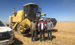 İlçe Tarım Kayıpların Önüne Geçmek İçin Sahada