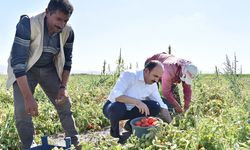Başkan Altay 2026 Yılı Tarımsal Destek Başvurularının Başladığını Duyurdu