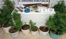 Baskında 420 Gram Esrar ve Silah Ele Geçirildi