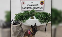Uyuşturucu ve Silah Operasyonunda Bir Kişi Tutuklandı
