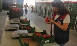 Tuzlukçu’da Üretilen Tarım Ürünlerine İhracat İzni