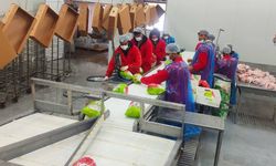 Kesimhane ve Mezbahalar Denetleniyor