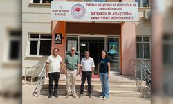İlçe Tarım ve Orman Müdürlüğünden Yeni Proje