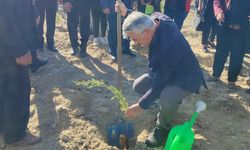 Akşehir’de Ortaköy ve Engili’de Fidan Dikme Etkinliği Düzenlendi