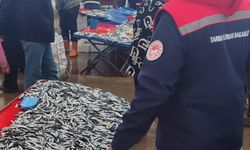 Akşehir’de Balık ve Gübre Denetimi