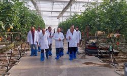 Akşehir ve Tuzlukçu Kaymakamlarından Jeotermal Seraya İnceleme
