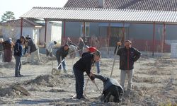 Mevlütlü ve Pazarkaya’da Zerdali ve Badem Fidanları Toprakla Buluştu