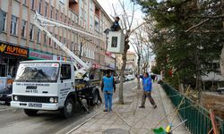 Mevsimsel Budama Çalışmalarına Başlandı!