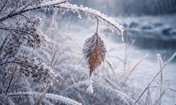 Don ve Buzlanmaya Dikkat