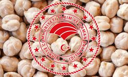 Çiftçilere %70 Hibeli Nohut Tohumu Desteği Başlıyor