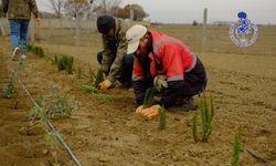 Belediyeden Kırsala Tarımsal Destek