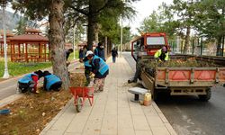Belediye Kışa Rağmen Yeşil Alan Çalışmalarını Hızlandırdı