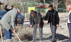 Toprakla Buluşan Her Fidan, Umuda Dönüşüyor