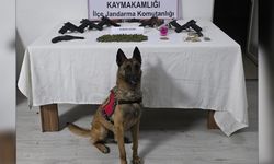 Operasyonda Çok Sayıda Madde ve Silah Ele Geçirildi