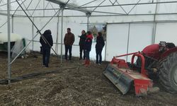 KOP Seranın Merkezi Projesi’nde Sera Kurulumları Tamamlandı