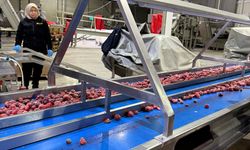 Akşehir’de Gıda Denetimleri Sıklaştırıldı