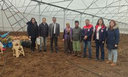 KOP Projesiyle Kurulan Seralar Üretime Hazır