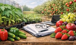 Belediye 198 Bin Adet Sebze ve Meyve Fidesi Satın Alacak