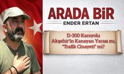 D-300 Karayolu: Akşehir’in Kanayan Yarası mı, "Trafik Cinayeti" mi?