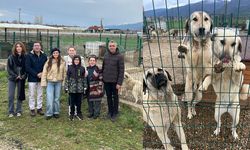 Eğitim-İş’ten AKDOHAY Barınağına Mama Desteği