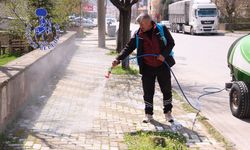 Akşehir Belediyesi’nden Yabani Otla Mücadele
