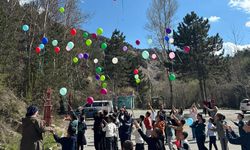 Karanfiller Sulara, Balonlar Gökyüzüne