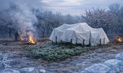 İlçe Tarımdan Zirai Don Uyarısı