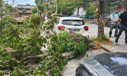 Şiddetli Rüzgarın Kırdığı Ağaç Otomobilin Üzerine Düştü