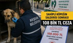 Sahipli Köpeğin Saldırısı Sonrası 108 Bin TL Ceza