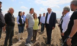 Başkan Erkoyuncu Patates Ekimine Katıldı