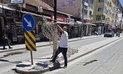 Cevdet Köksal Caddesi’nde Işıklandırma Sistemi Yola Düştü