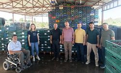 Bursa ve Akşehir Meyvecilikte Güçlerini Birleştiriyor