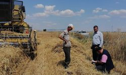 Hububat Hasadında Biçerdöver Denetimleri Sürüyor