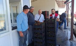 İlçe Tarım Müdürlüğü Meyve Hallerinde İncelemelerde Bulundu