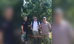 Organik Tarım Alanlarında Kontrol ve Numune Alma Çalışmaları Sürüyor