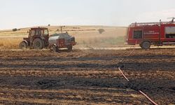 Altuntaş'ta Tarla Yangını Korkuttu