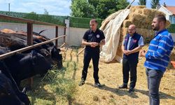 Akşehir’de Büyükbaş Hayvancılık Desteği Sahada İncelendi