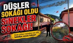 Mahalleli: Koku, Sinek ve Bakımsızlık Yüzünden Cam Açamıyoruz