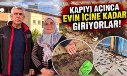 Akşehir’de Bir Evi Binlerce Böcek İstila Etti: Aile Çözüm Bekliyor