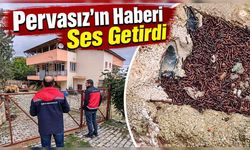 Yaylabelen’de Böcek İstilası İçin İnceleme Başlatıldı