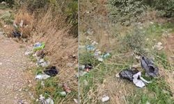 Akşehir Eski Hıdırlık’ta Ormanlık Alanda Görüntü Kirliliği