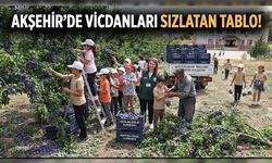 Sevim Uzun: Binlerce Ton Erik Dalında Kaldı, Üretici Çare Bekliyor